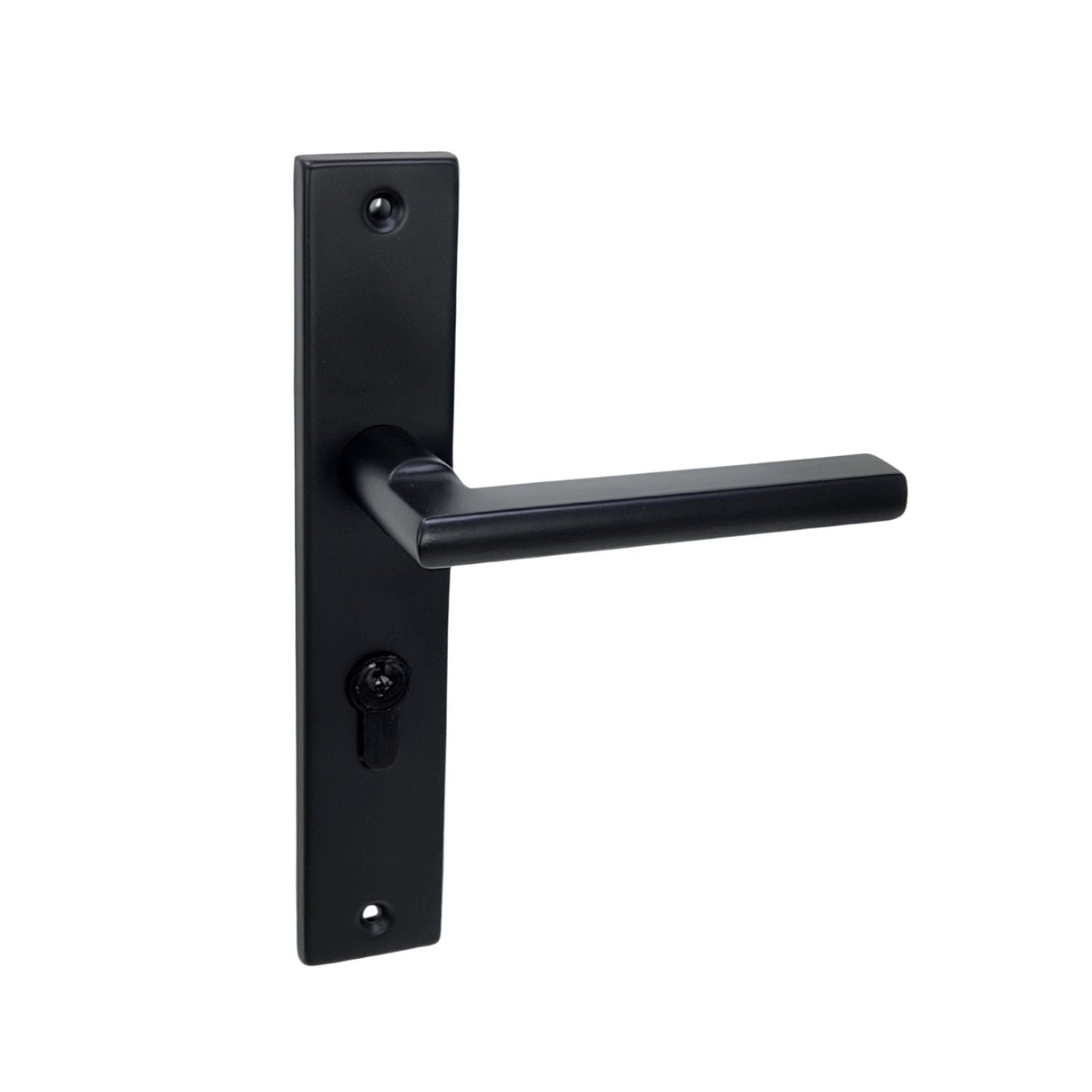 Modern matt black door handle on plate with cylinder keyhole cut out