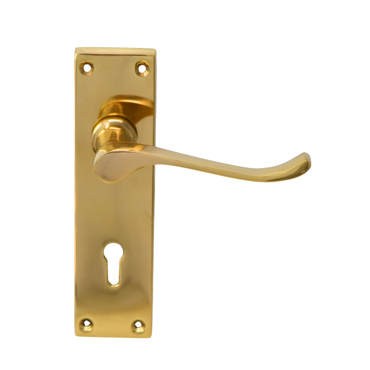 Victorian Handle on Backplate with Two Lever Lock