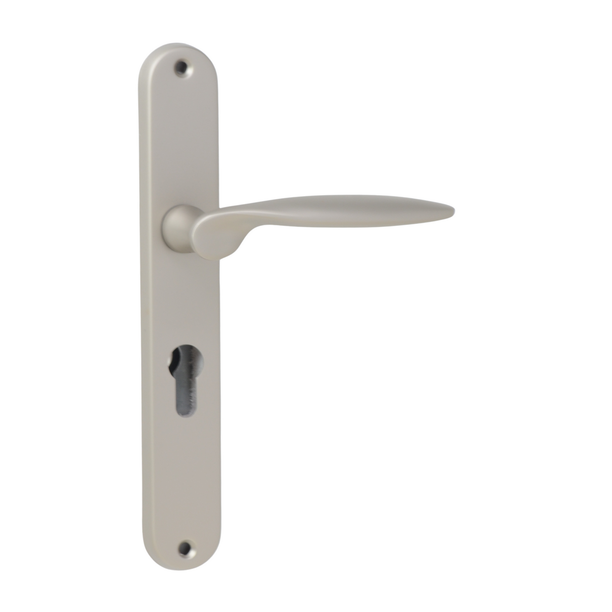 "Flag" - Matt chrome classic door handles on back plate