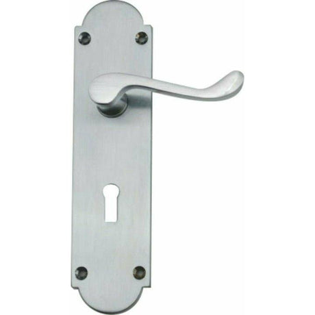Large Silver Victorian lever handle on backplate 195mm