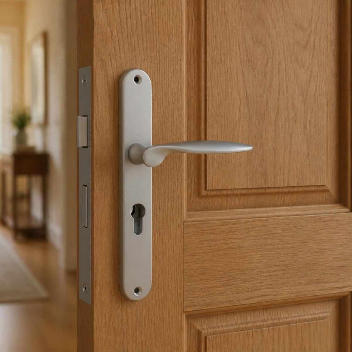 "Flag" - Matt chrome classic door handles on back plate