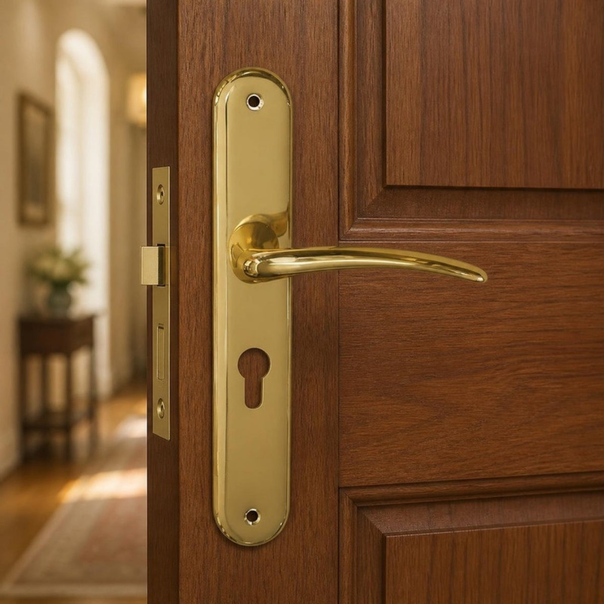 "Istanbul" - classic door handles on back plate