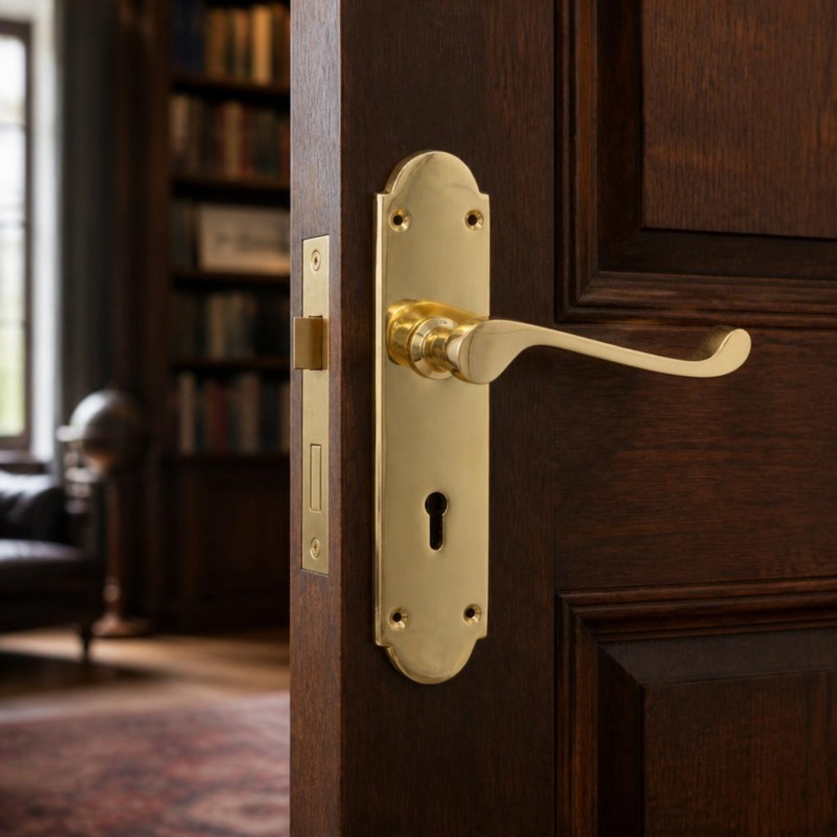 Solid brass door handle with back plate and 2 lever lock
