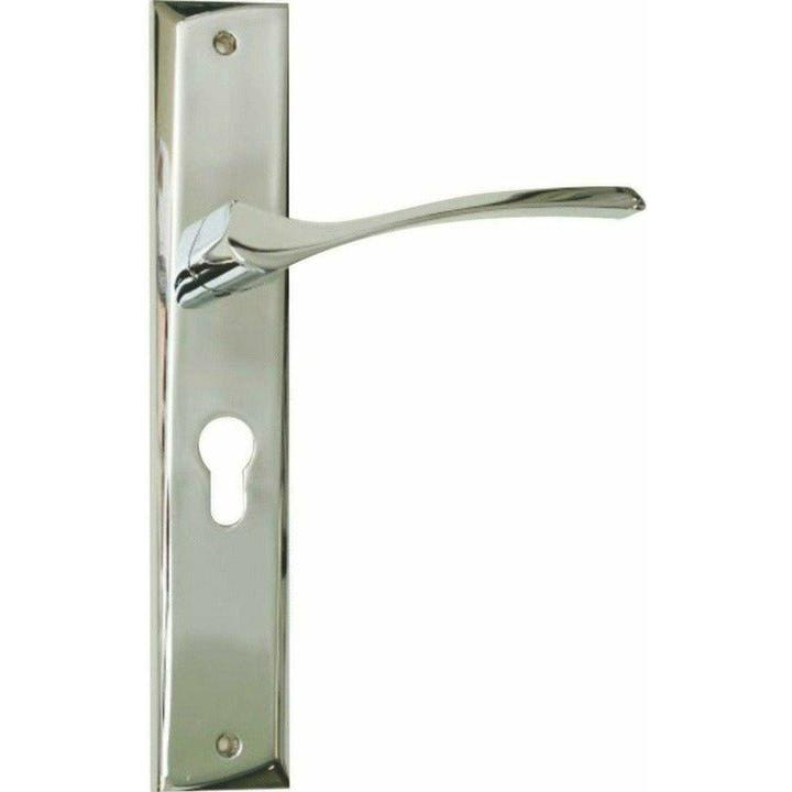 Shiny chrome designer lever handle on plate