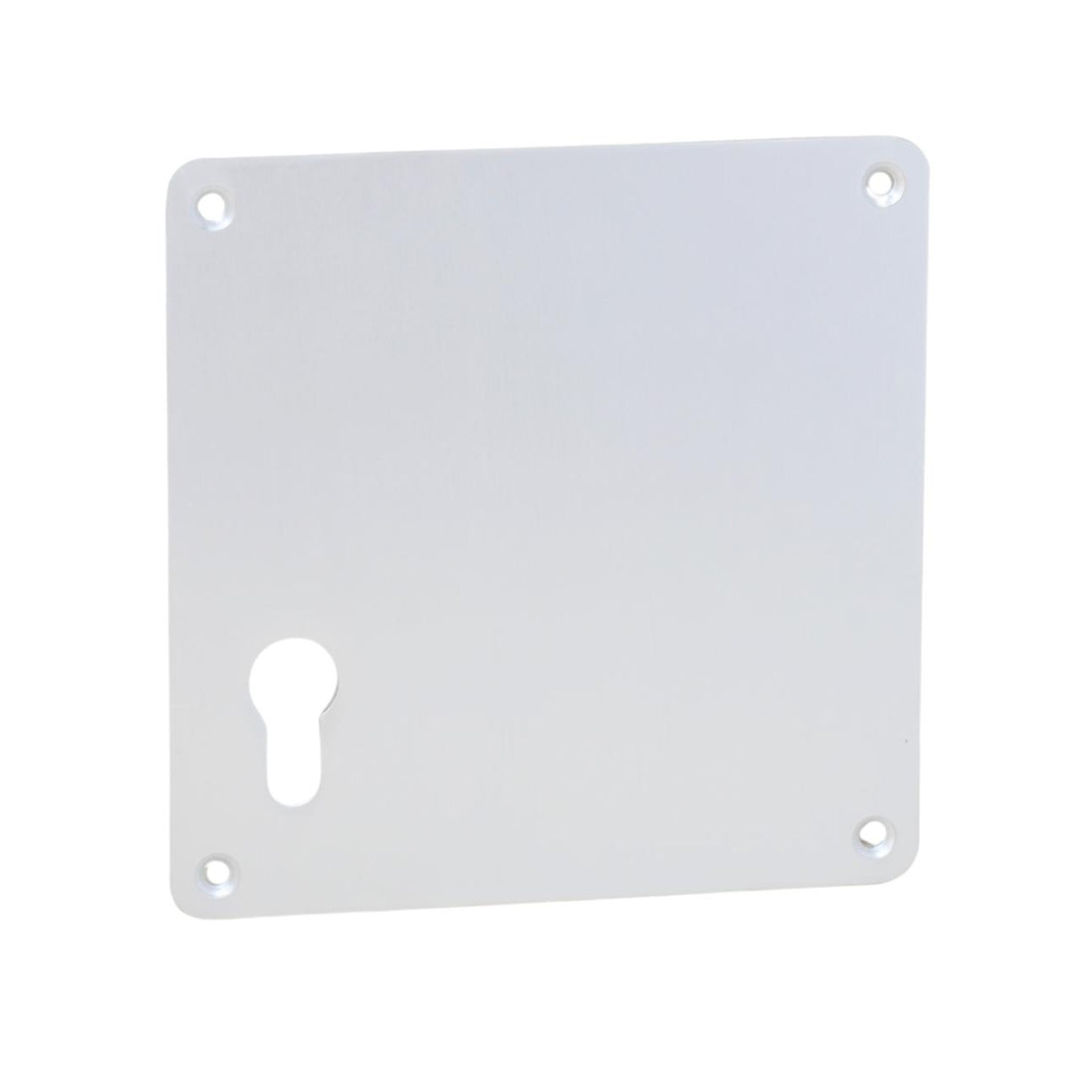 Aluminium Push Plate with Cylinder Keyhole Cutout