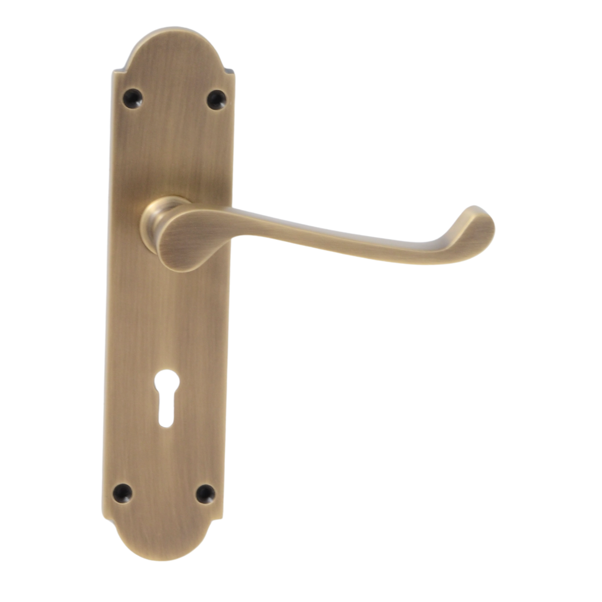Antique Brass Lever Handle on Back Plate - 195mm x 45mm