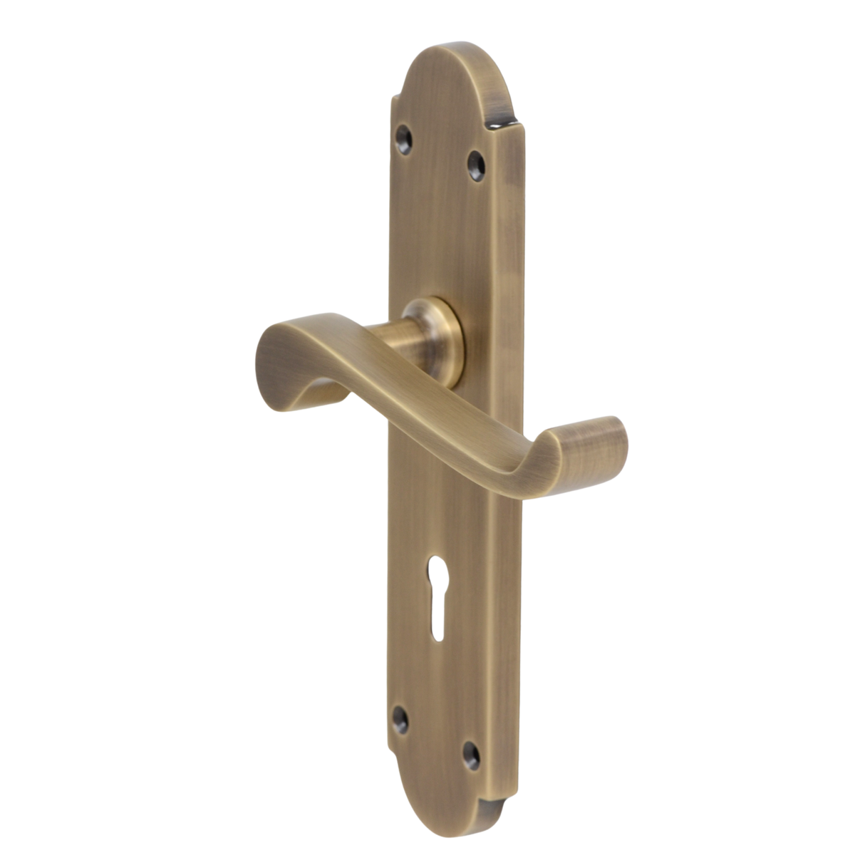 Antique Brass Lever Handle on Back Plate - 195mm x 45mm