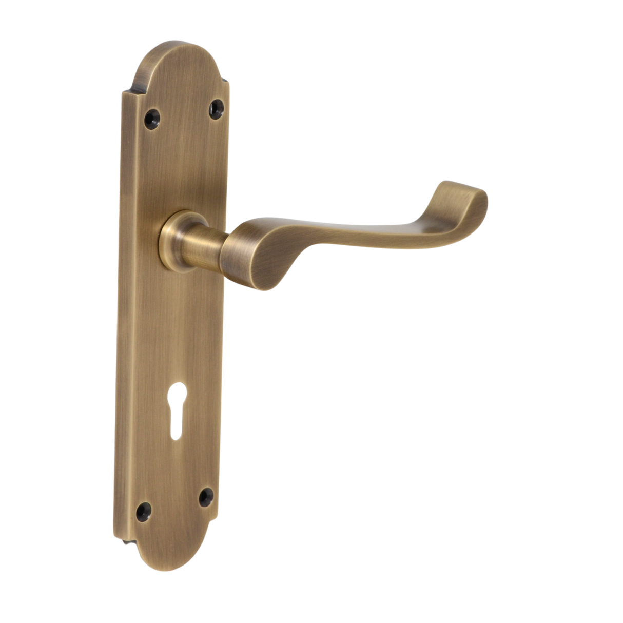 Antique Brass Lever Handle on Back Plate - 195mm x 45mm