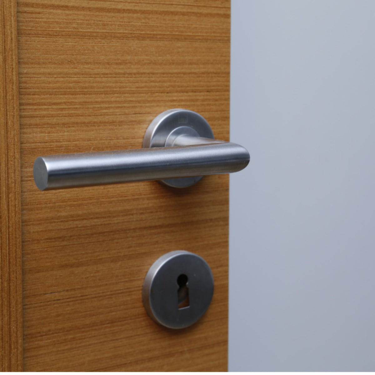 Brushed stainless steel tubular lever handle and round rose, close-up product shot