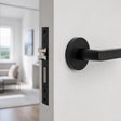 Matt black cylinder mortise lock fitted in the edge of a white door