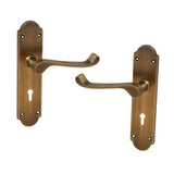 Antique Brass Lever Handle on Back Plate - 195mm x 45mm