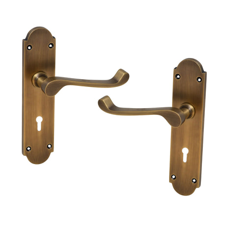 Antique Brass Lever Handle on Back Plate - 195mm x 45mm