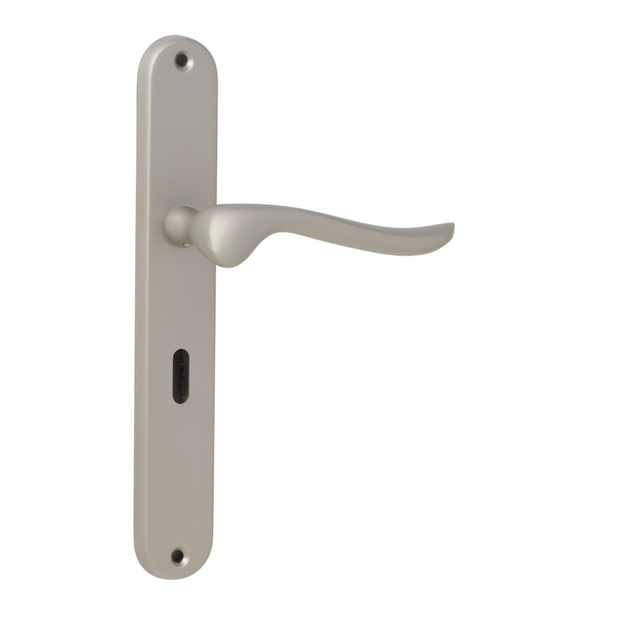 Matt Chrome Classic Door Handles on Back Plate