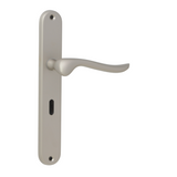 Matt Chrome Classic Door Handles on Back Plate