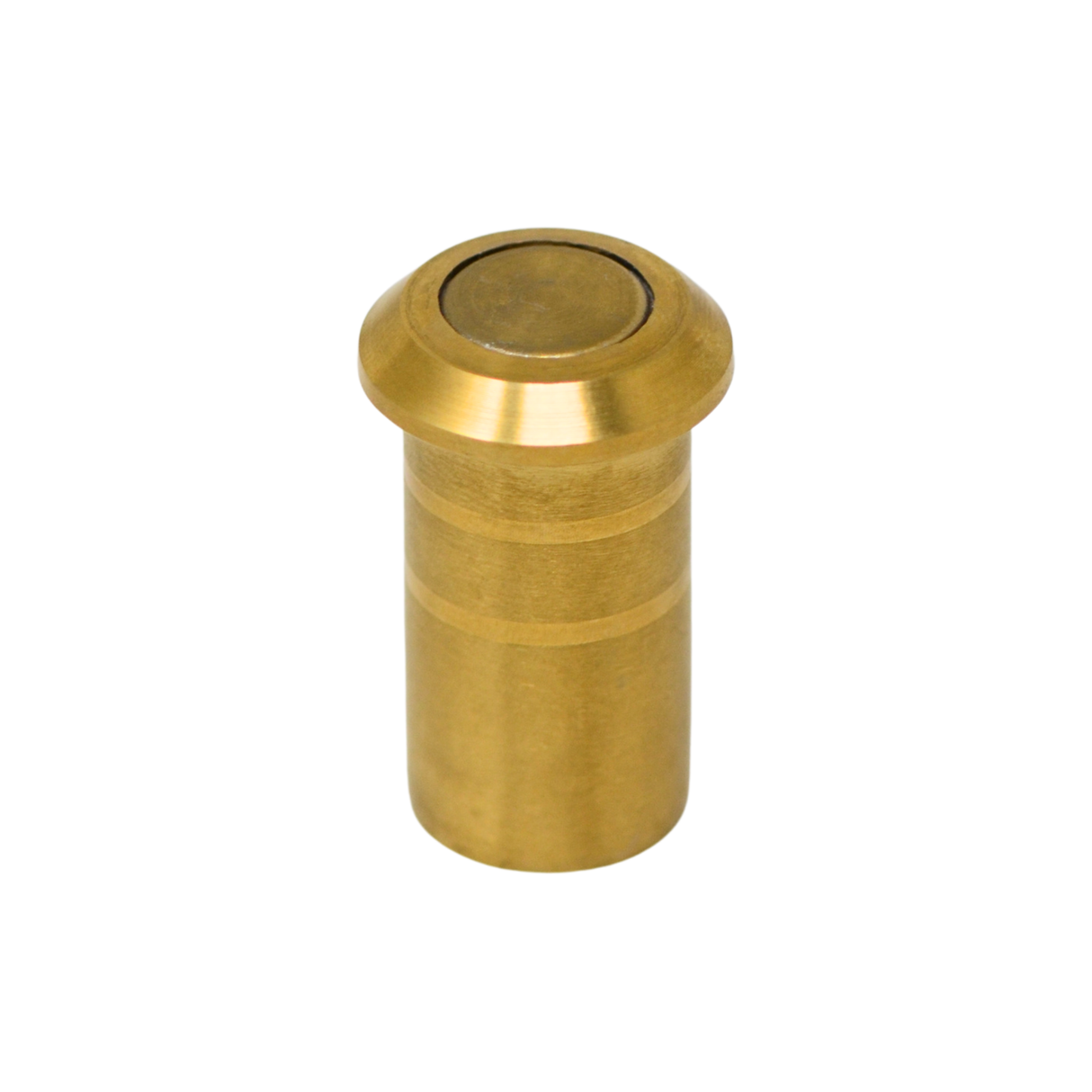 Dust proof striker plate for flush bolts in brass