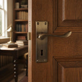 Antique Brass Door Handles - Lever Handle on Square Plate