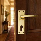 Straight Victorian Lever Handle on Plate