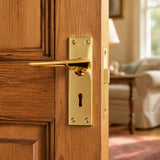 Solid brass handle on plate with lock