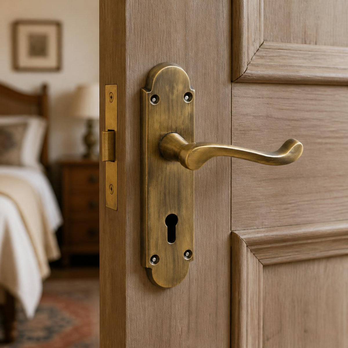 Antique Brass Door Handles - Lever Handle on Plate