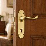 Traditional Victorian lever handle on backplate 165mm