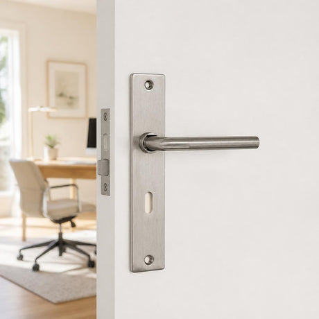 Brushed Stainless Steel Door Handle on Plate with SABS Approved Lock