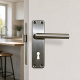 Stainless steel lever handle on plate
