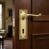 Georgian lever handle on plate with 2 lever lock