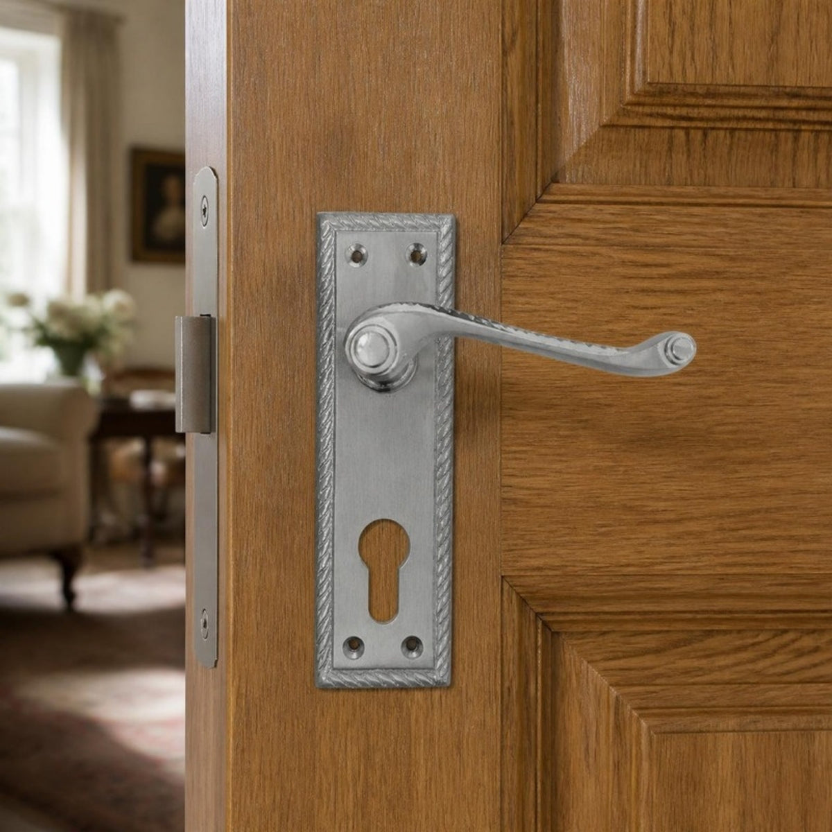 Georgian Door Handle on Plate - Pewter