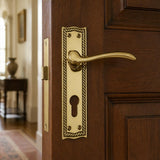 Georgian Lever Handle on Plate