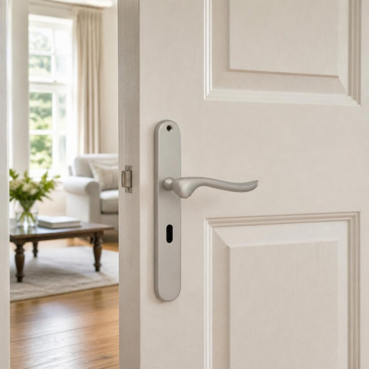 Matt Chrome Classic Door Handles on Back Plate