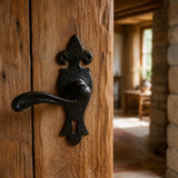 Wrought iron lever handle on back plate