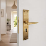 Modern Matt Brass Lever Handle on long back plate