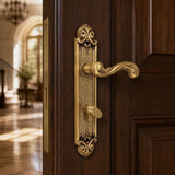 "Masada" antique door handle set