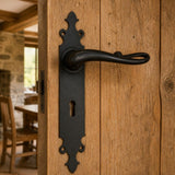 Wrought iron lever handle on plate