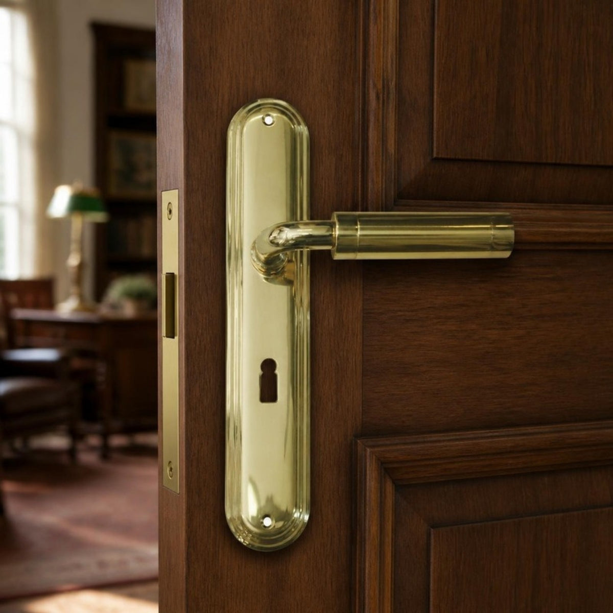 Solid brass designer lever handle on rounded back plate