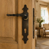 French Antique Brass Lever Handle on Plate