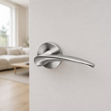 Curved Stainless Steel Lever Handle on Rose