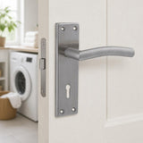 Stainless Steel Curved Handle on Plate