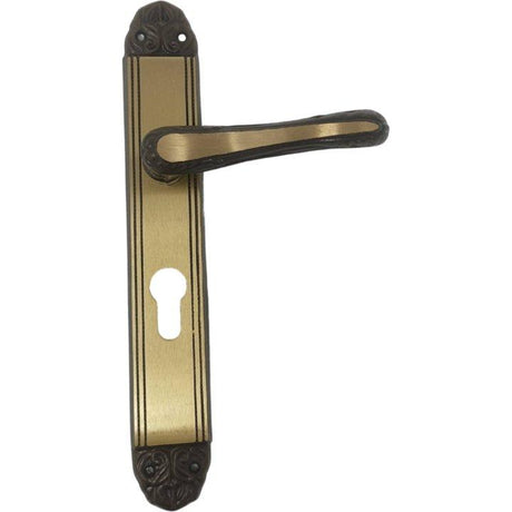 Antique Door Handle on Plate with Cylinder Lock and Cylinder