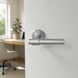 Brushed stainless steel lever handle on round rose