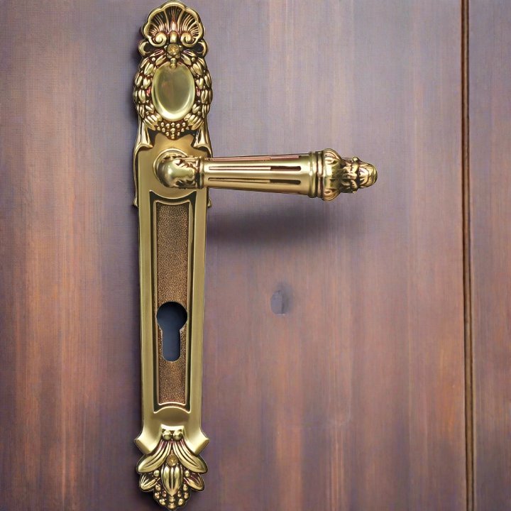 "Cape" Royal - Antique Door Handle on Back Plate - Decor Handles - door handles on plate