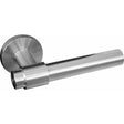 Brushed stainless steel lever handle on round rose door handle on rose