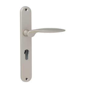 "Flag" - Matt chrome classic door handles on back plate