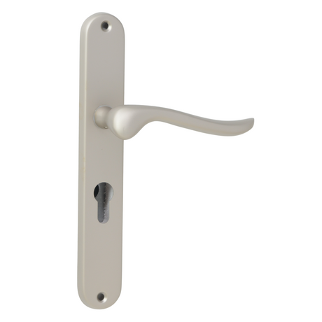 Matt Chrome Classic Door Handles on Back Plate
