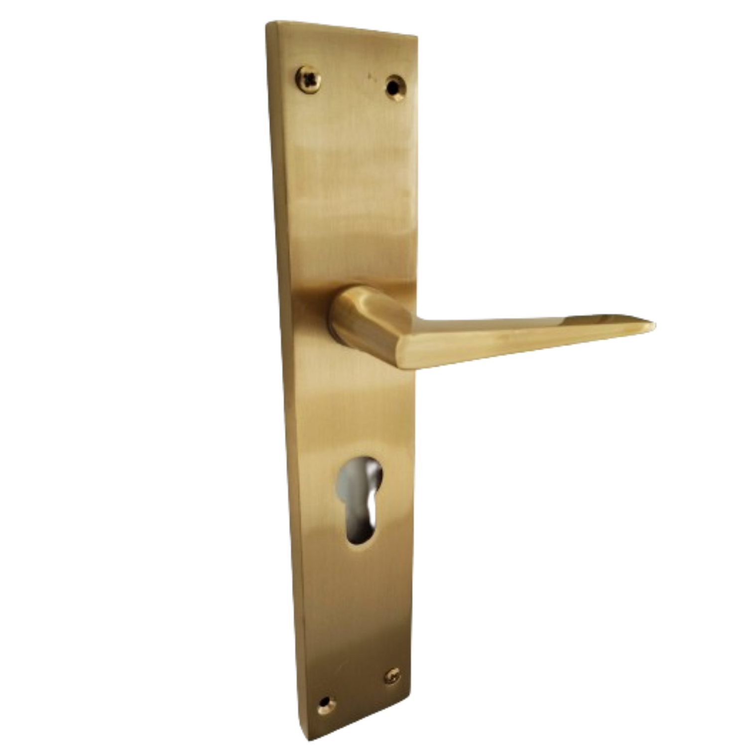 Modern Matt Brass Lever Handle on long back plate