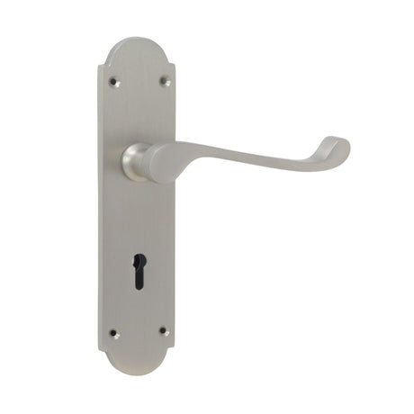Silver Victorian lever handle on backplate 165mm