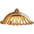 Solid brass shell shaped cup handle cupboard handle