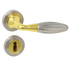 Two-Tone Lever Handle on Rose door handle on rose