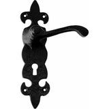 Wrought iron lever handle on back plate door handles on plate