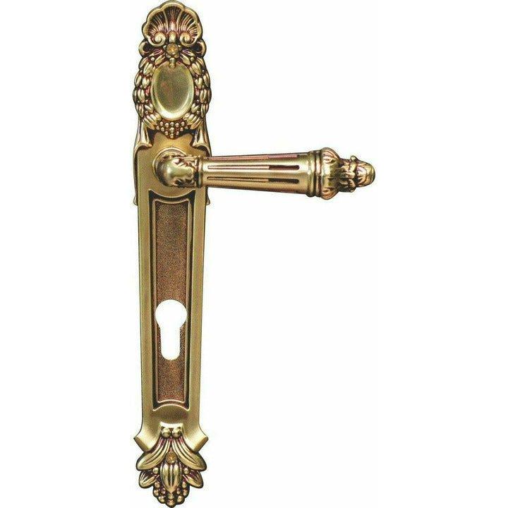 "Cape" Royal - Antique Door Handle on Back Plate - Decor Handles